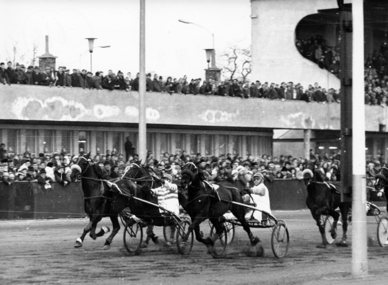Hungary, Budapest VIII., Kerepesi úti Ügetőpálya, jobbra a II. helyi tribün., 1980, Kopátsy Sándor, horse race, Budapest, Fortepan #163410