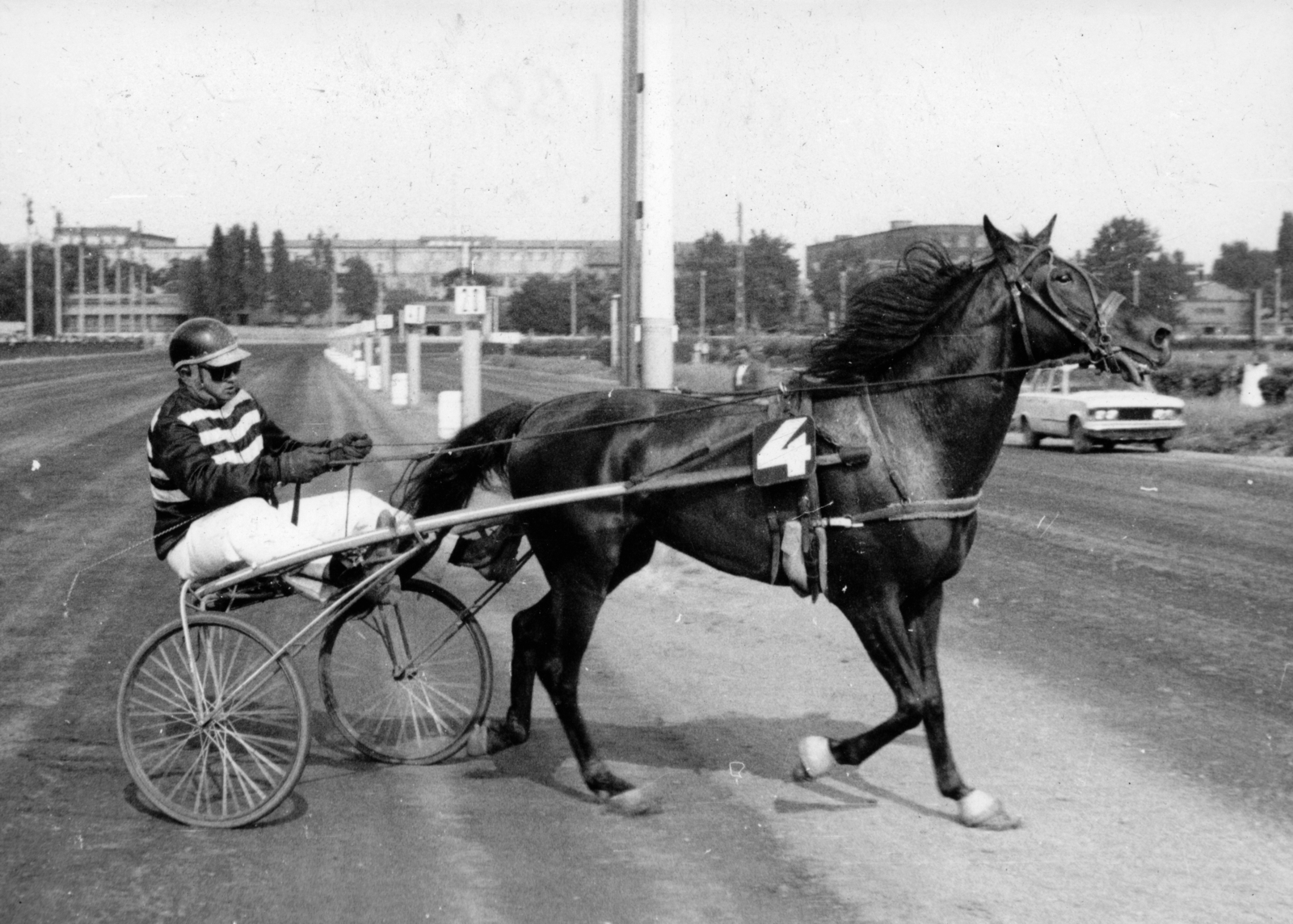 Hungary, Budapest VIII., Kerepesi úti Ügetőpálya, háttérben a gumigyár., 1984, Kopátsy Sándor, harness racing, Budapest, Fortepan #163414