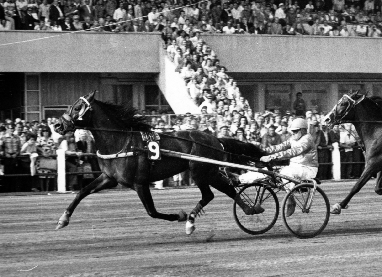 Magyarország, Budapest VIII., Kerepesi úti Ügetőpálya, háttérben az I. helyi tribün., 1984, Kopátsy Sándor, Budapest, Fortepan #163425