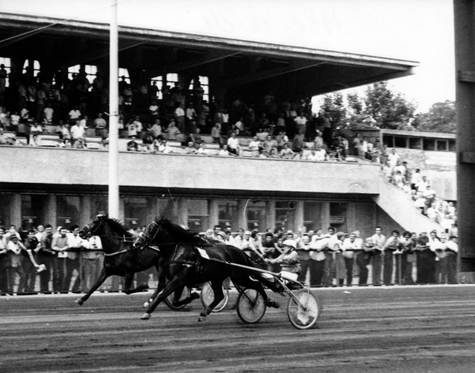 Hungary, Budapest VIII., Kerepesi úti Ügetőpálya, háttérben az I. helyi tribün., 1982, Kopátsy Sándor, Budapest, harness racing, Fortepan #163427