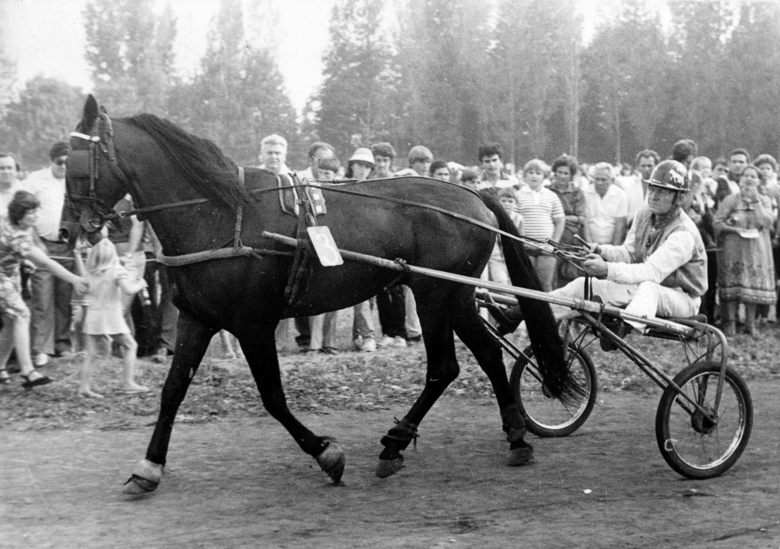 Hungary, Budapest VIII., Kerepesi úti Ügetőpálya., 1983, Kopátsy Sándor, gaping, jockey, Budapest, Fortepan #163435