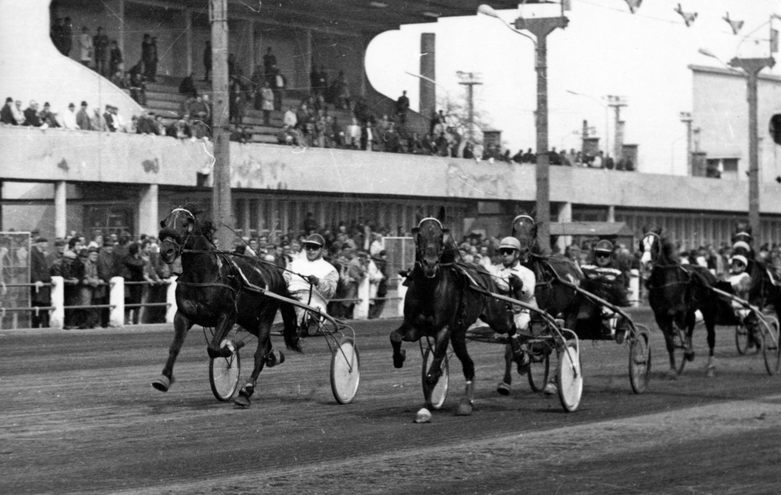 Hungary, Budapest VIII., Kerepesi úti Ügetőpálya, háttérben balra a II. helyi tribün, jobbra a III. helyi tribün., 1981, Kopátsy Sándor, Budapest, harness racing, Fortepan #163460