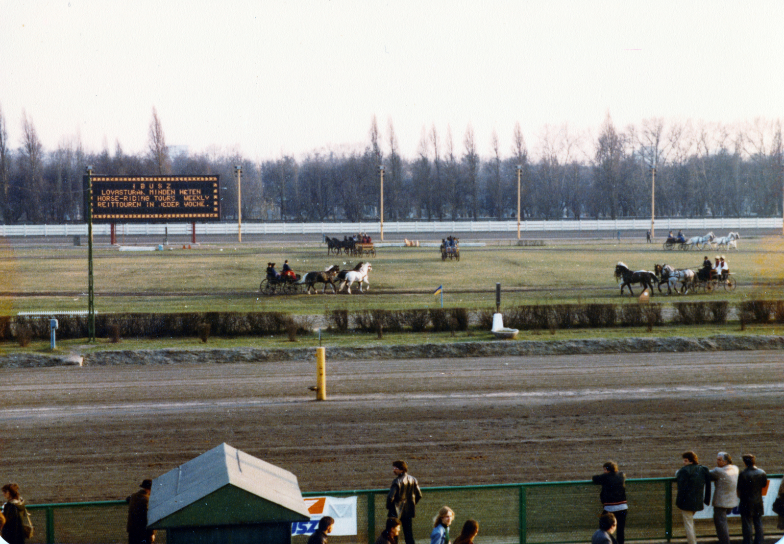 Hungary, Budapest VIII., Kerepesi úti Ügetőpálya, négyesfogatok bemutatója., 1986, Kopátsy Sándor, harness racing, colorful, Budapest, Fortepan #163471