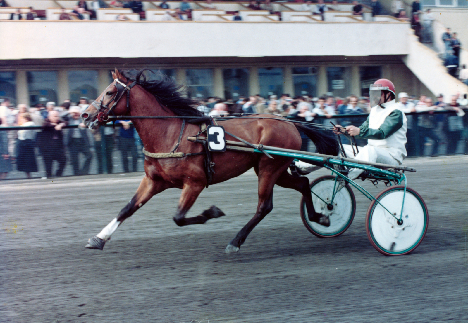 Magyarország, Budapest VIII., Kerepesi úti Ügetőpálya, háttérben az I. helyi tribün., 1986, Kopátsy Sándor, Budapest, színes, lóverseny, Fortepan #163487
