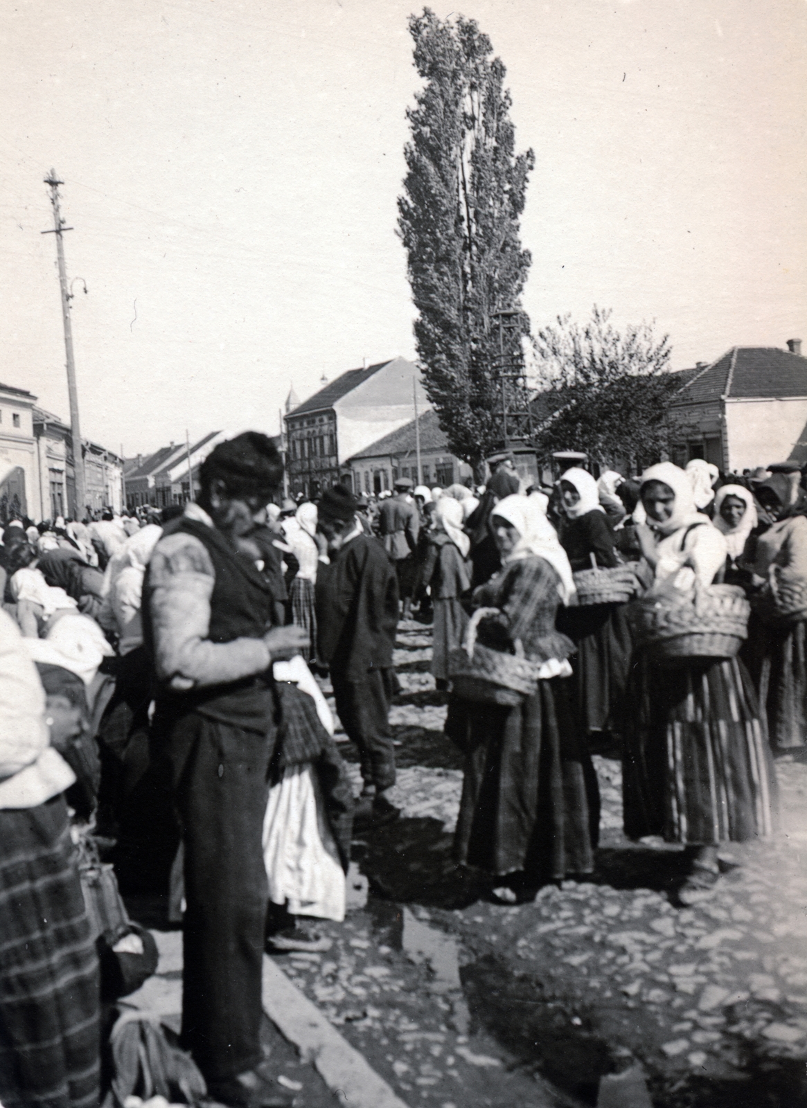 Serbia, Paraćin, Vožda Karađorđa az ulica Kralja Petra Prvog felé nézve, piac., 1916, Wittner Lucia, Fortepan #163506