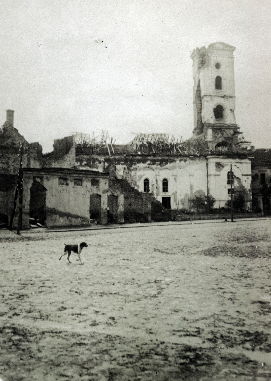 Serbia, az ortodox Szent Péter- és Pál-székesegyház., 1916, Wittner Lucia, Fortepan #163512