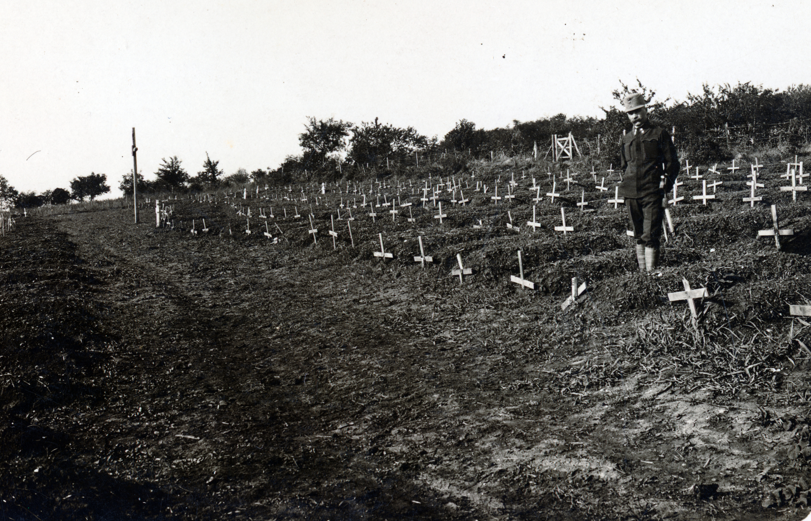 1916, Wittner Lucia, cemetery, grave, headstone, Fortepan #163625