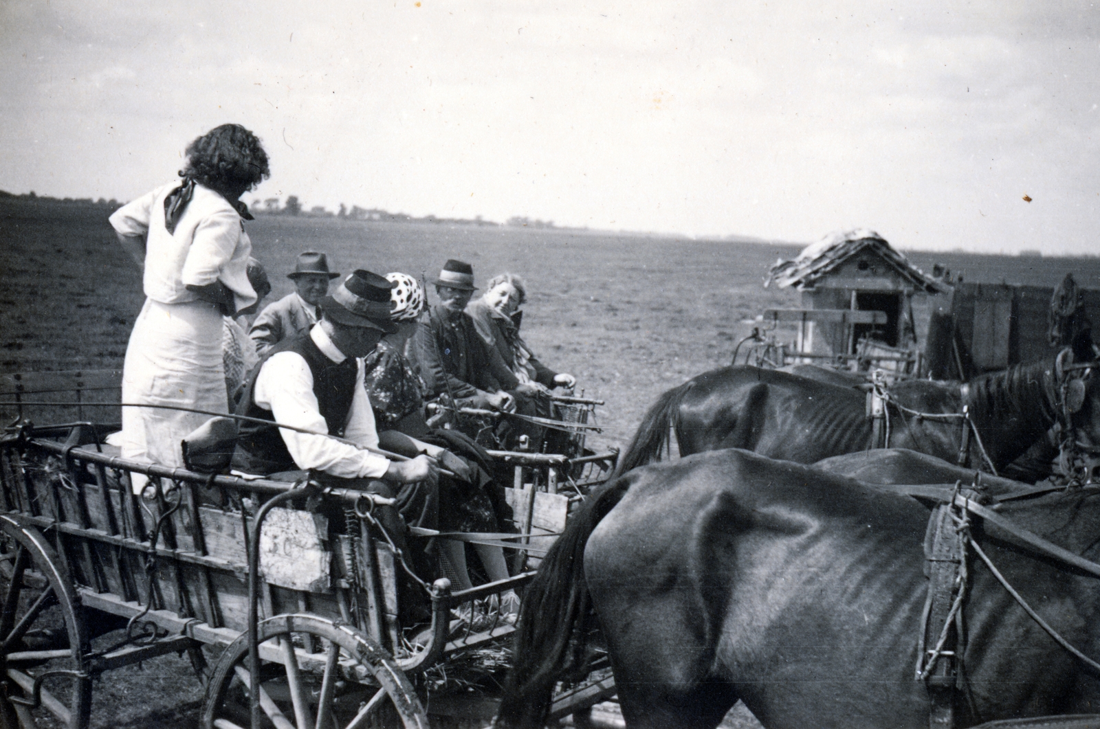 1936, Fadgyas Bence, chariot, Fortepan #163821