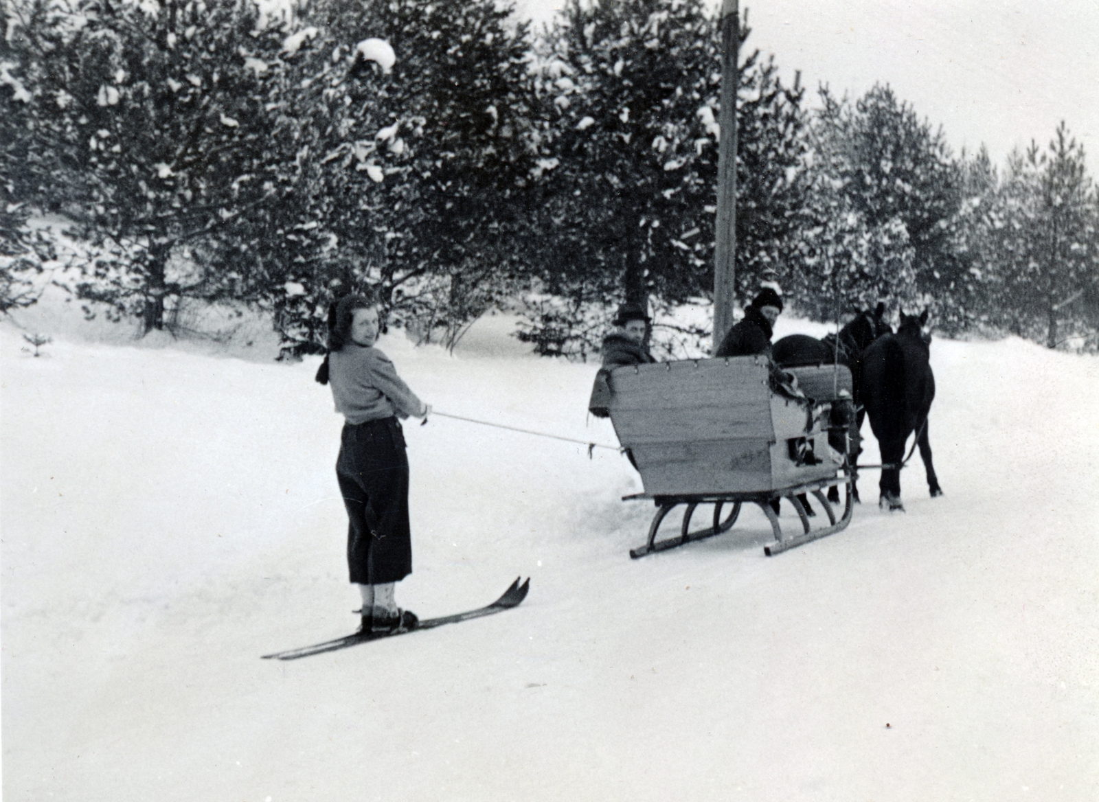 1934, Fadgyas Bence, horse-drawn sleigh, skiing, Fortepan #163852