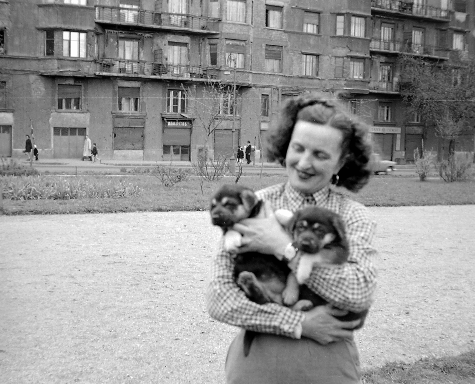 Hungary, Budapest I., Vérmező, háttérben az Attila út 133., 1959, Kurutz Márton, dog, Budapest, puppy, Fortepan #16389