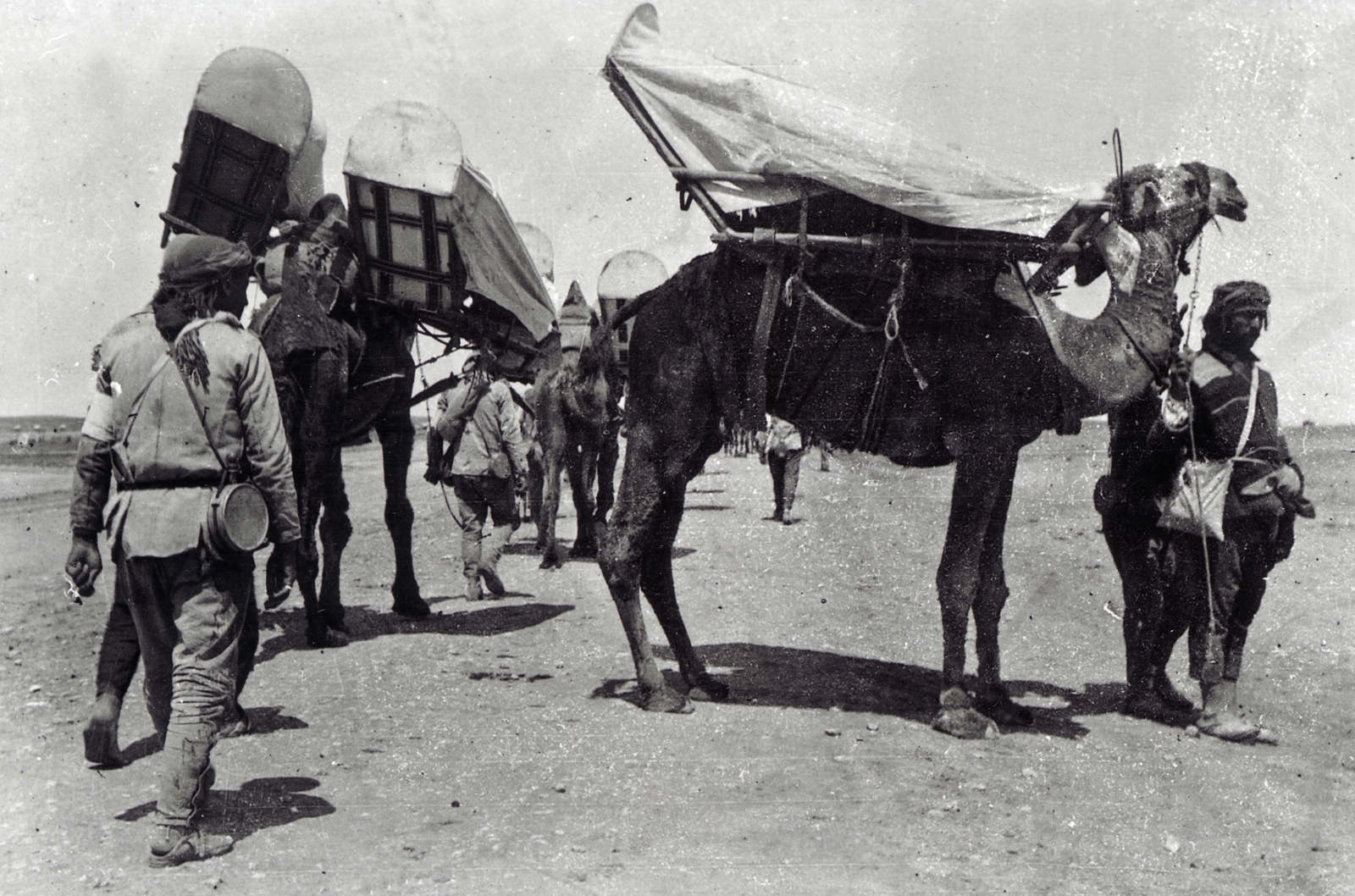 egészségügyi osztag, a sebesülteket szállító Kakule-nek nevezett tevékkel., 1916, Kieselbach Gyula, caravan, Fortepan #163984