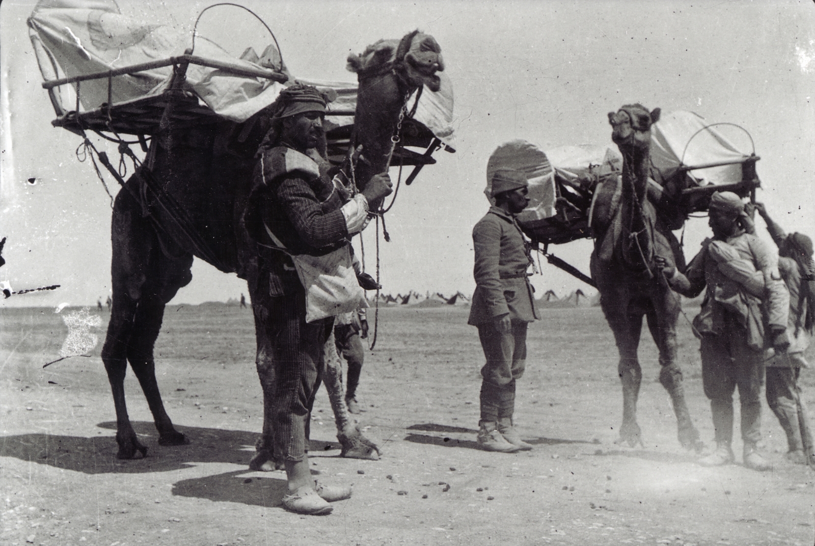 egészségügyi osztag, a sebesülteket szállító Kakule-nek nevezett tevékkel., 1916, Kieselbach Gyula, Fortepan #163987