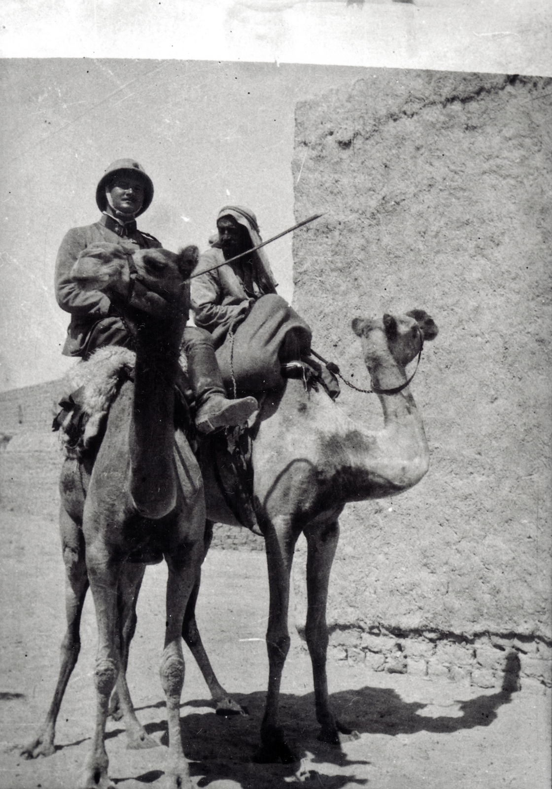 1916, Kieselbach Gyula, teve, Fortepan #163994