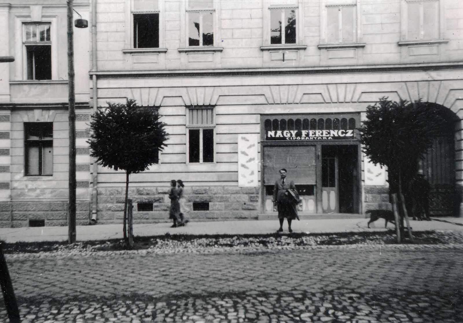 1941, Richl Ágnes, Fortepan #164202