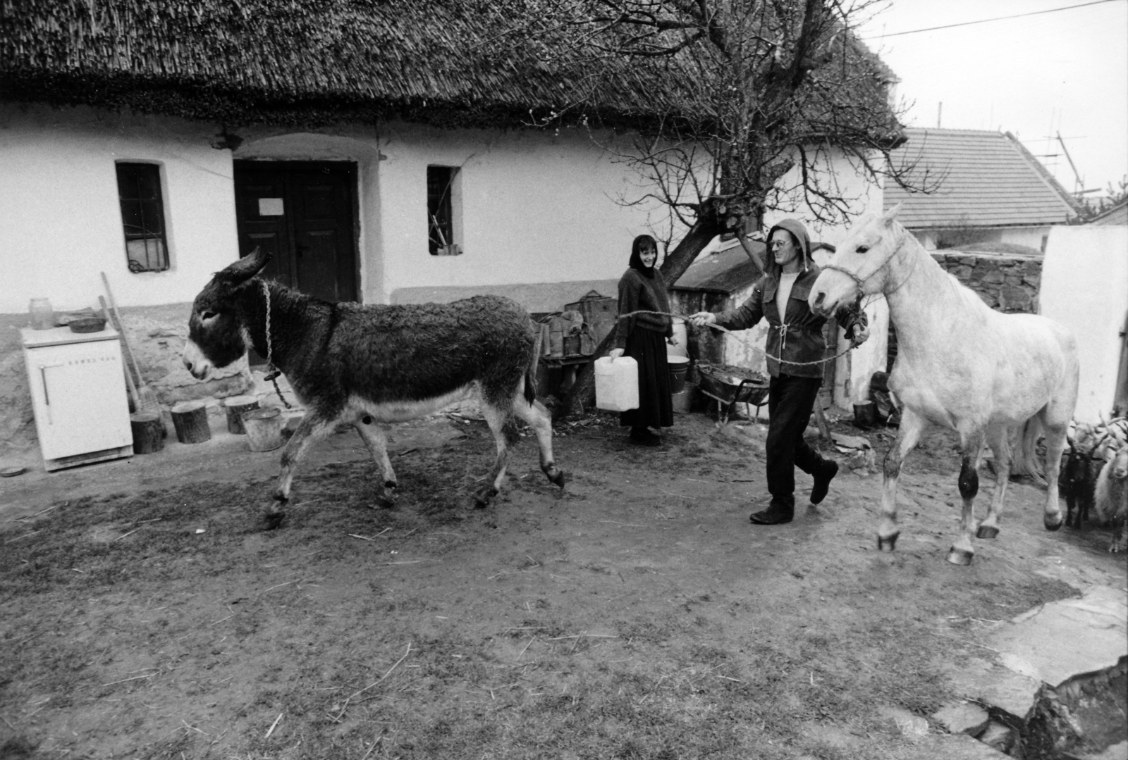 Hungary, Salföld, Somogyi Győző grafikus, festőművész., 1987, Hegedűs Judit, donkey, Fortepan #164303