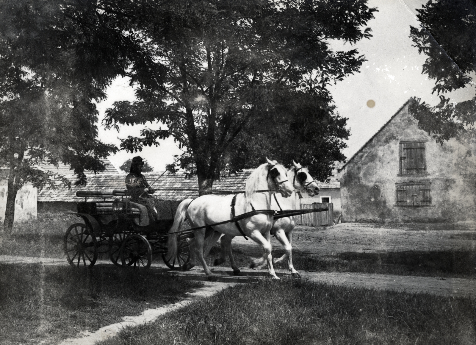 1916, Fedák István, Horse-drawn carriage, Fortepan #164548