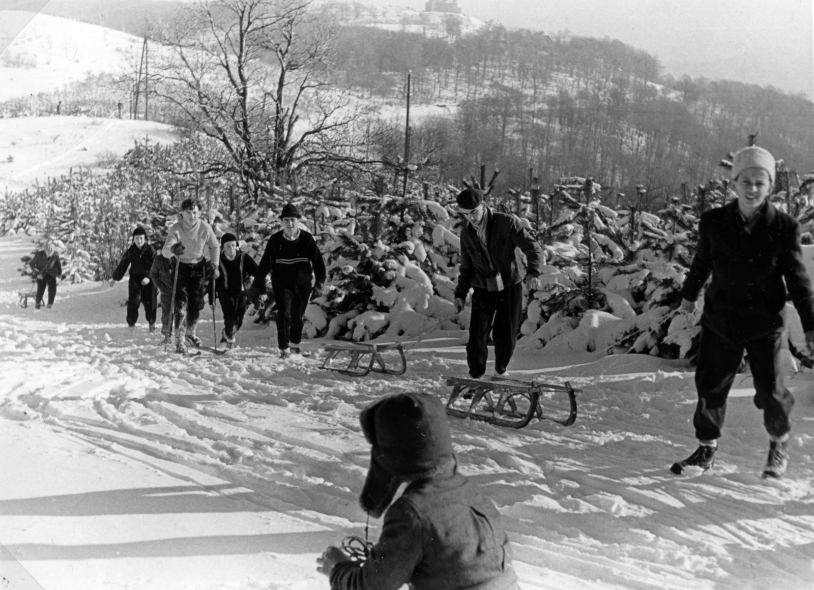 1959, Faragó László, sledge, winter, Fortepan #164814