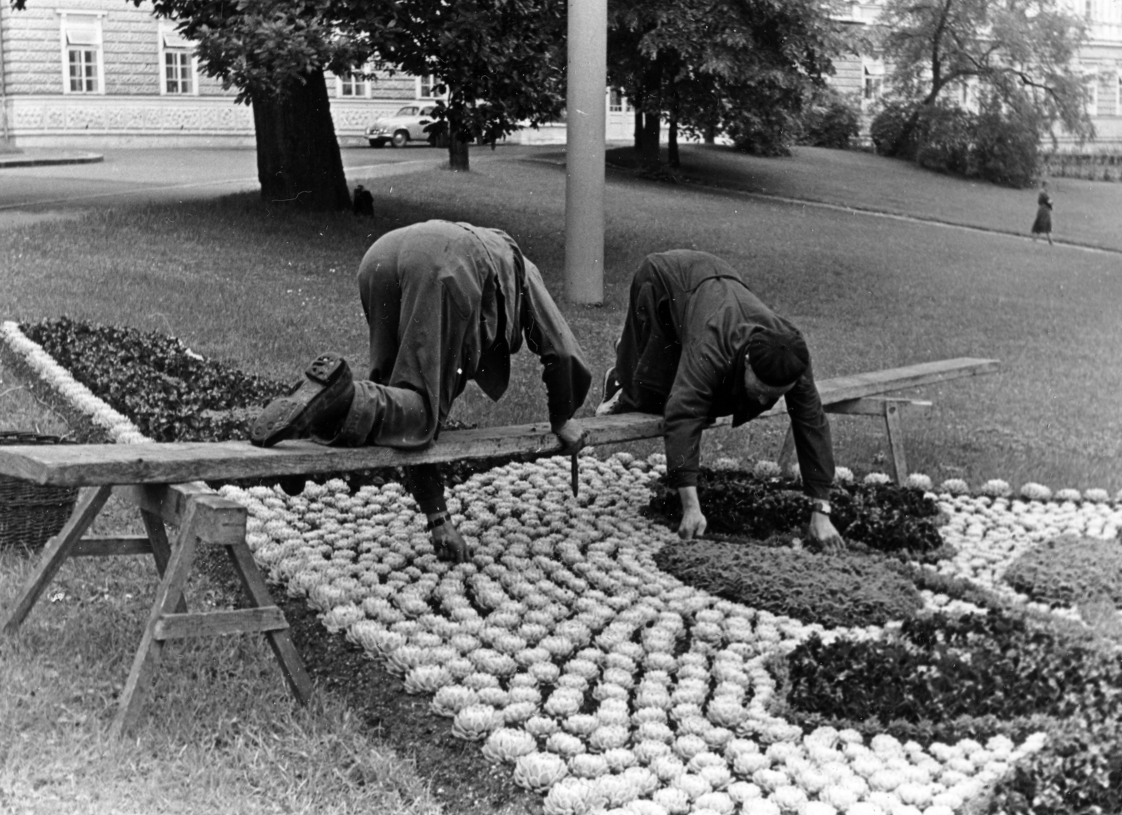 Csehország, Mariánské Lázne, Goethe tér, a háttérben a Centrální Lázně., 1961, Faragó László, Csehszlovákia, karóra, svájcisapka, térdepel, virágágyás, Best of, Kertész, Fortepan #164829