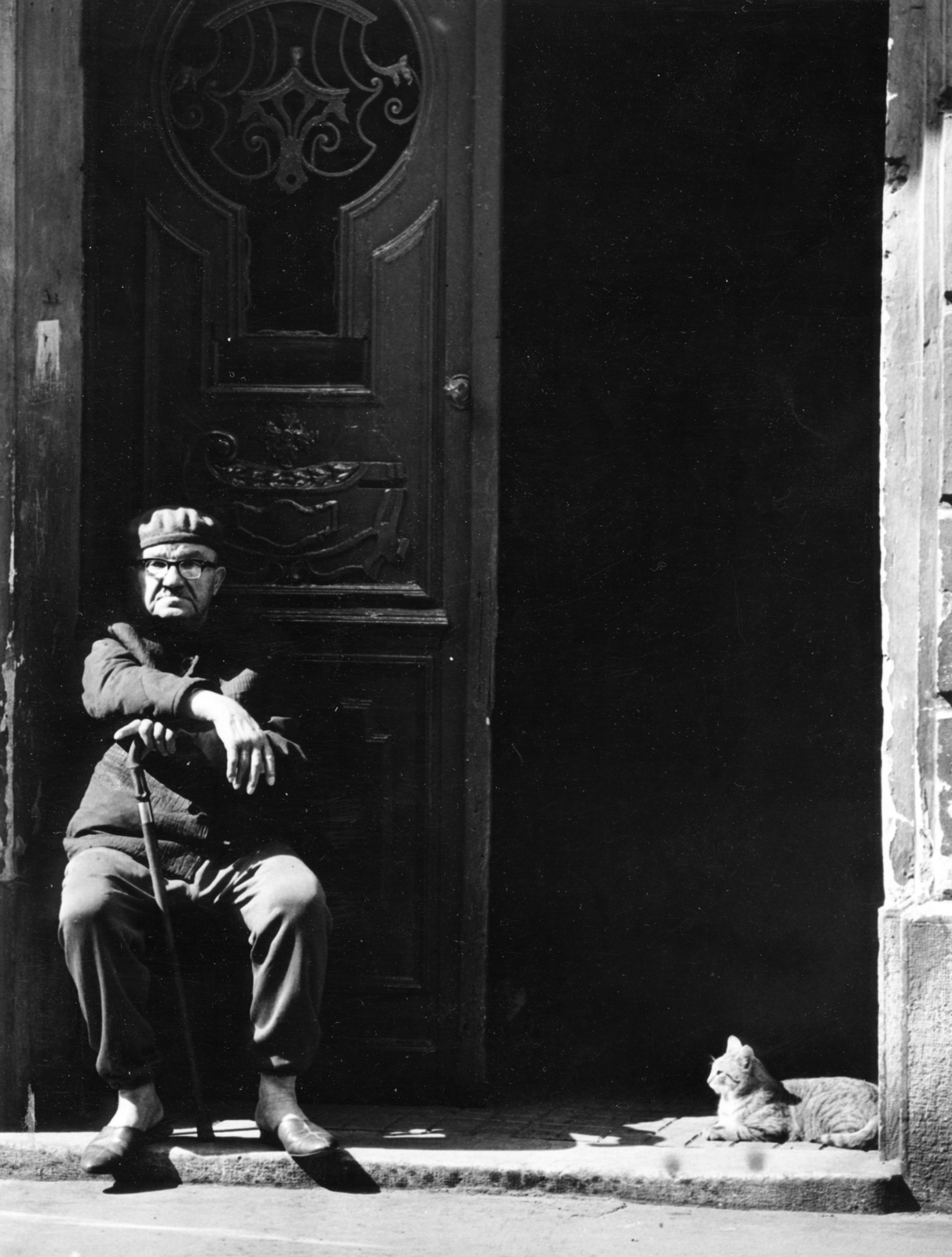 1966, Herpay Gábor, cat, Best of, Fortepan #164985