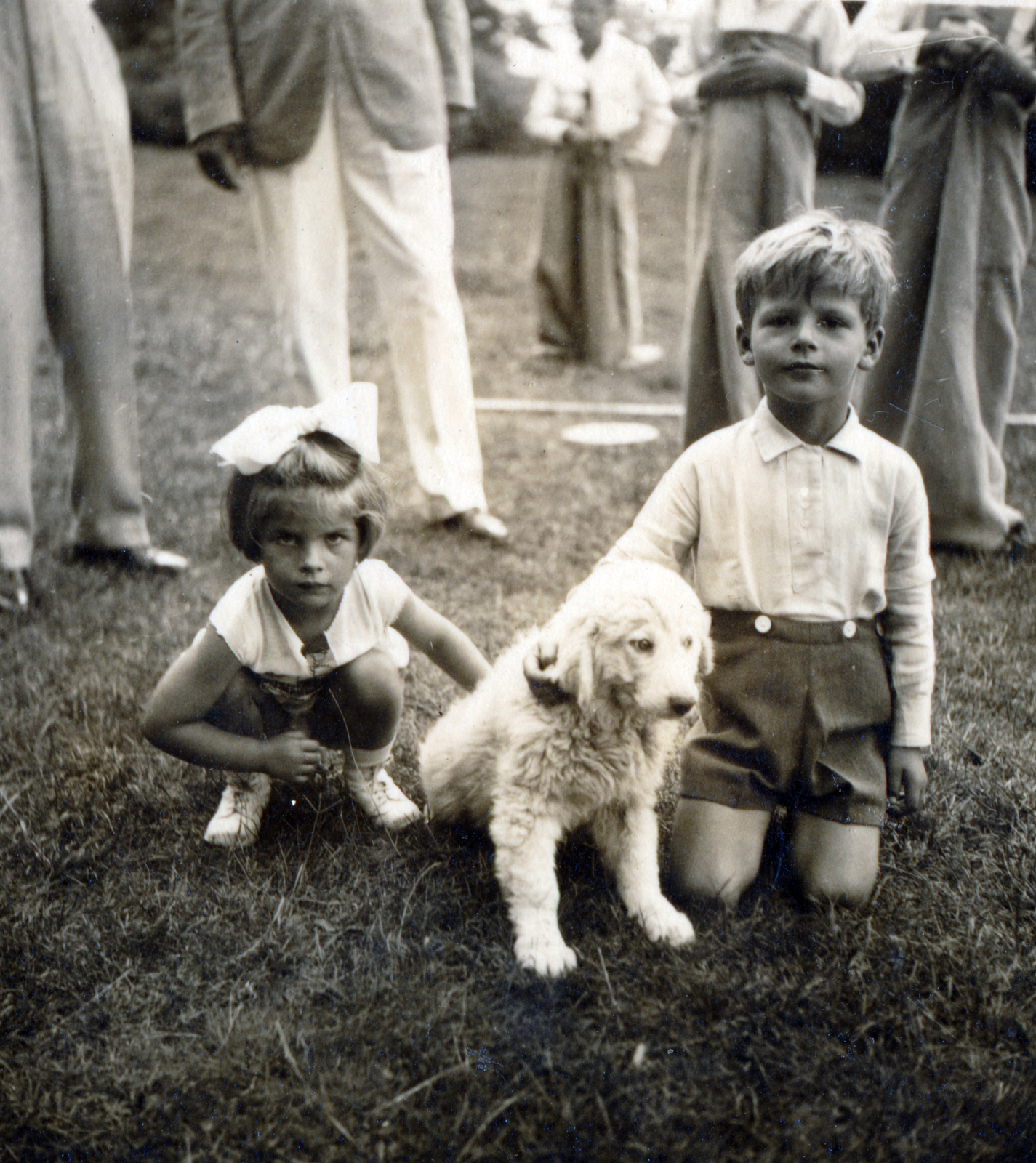 1930, Bánfalvi Jánosné, dog, Fortepan #165309
