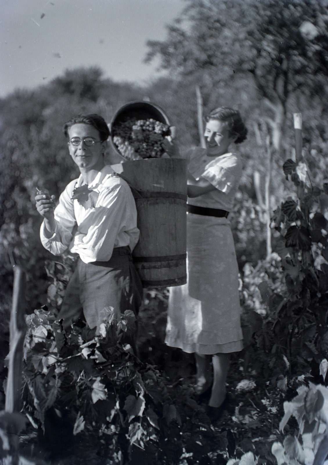 1936, Privát Fotó és Film Archívum-Höfler Tibor gyűjtemény, szüret, puttony, Fortepan #170410