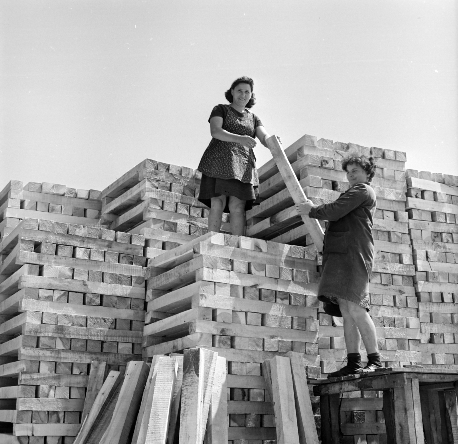 1972, Péterffy István, farakás, Best of, Fortepan #170604