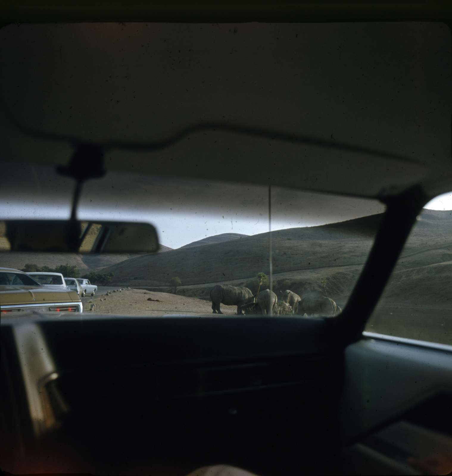 1975, Sárosi Imre, vehicle interior, Fortepan #170921