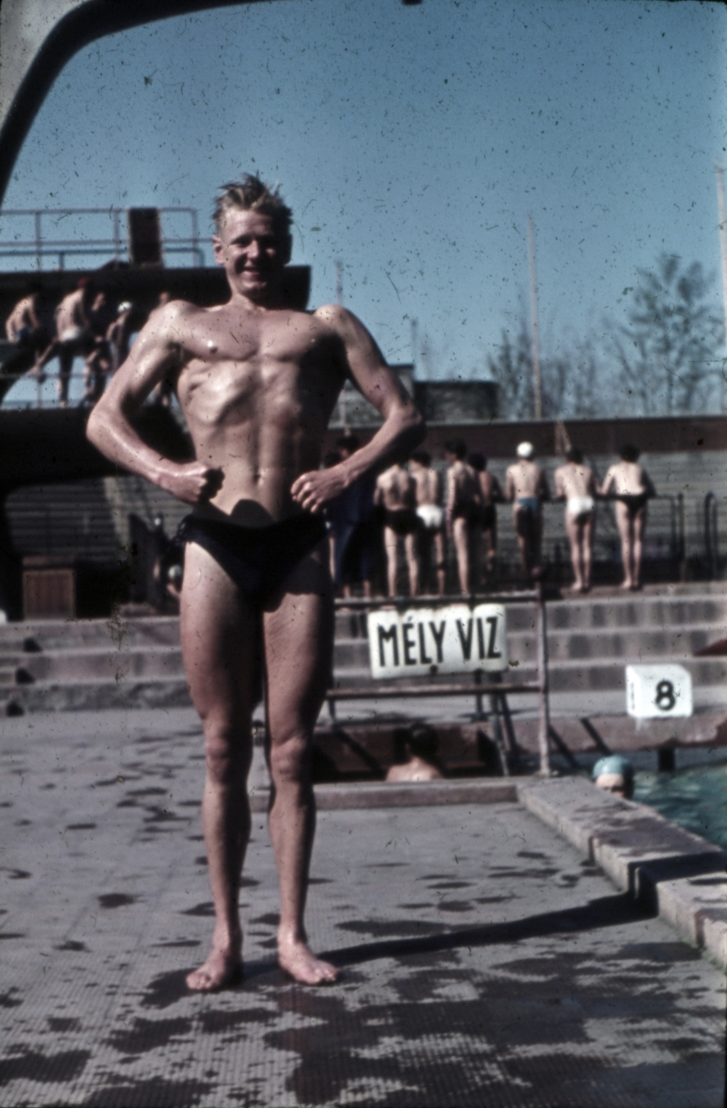1950, Sárosi Imre, man, swimming pool, body building, colorful, enamel sign, Fortepan #170958
