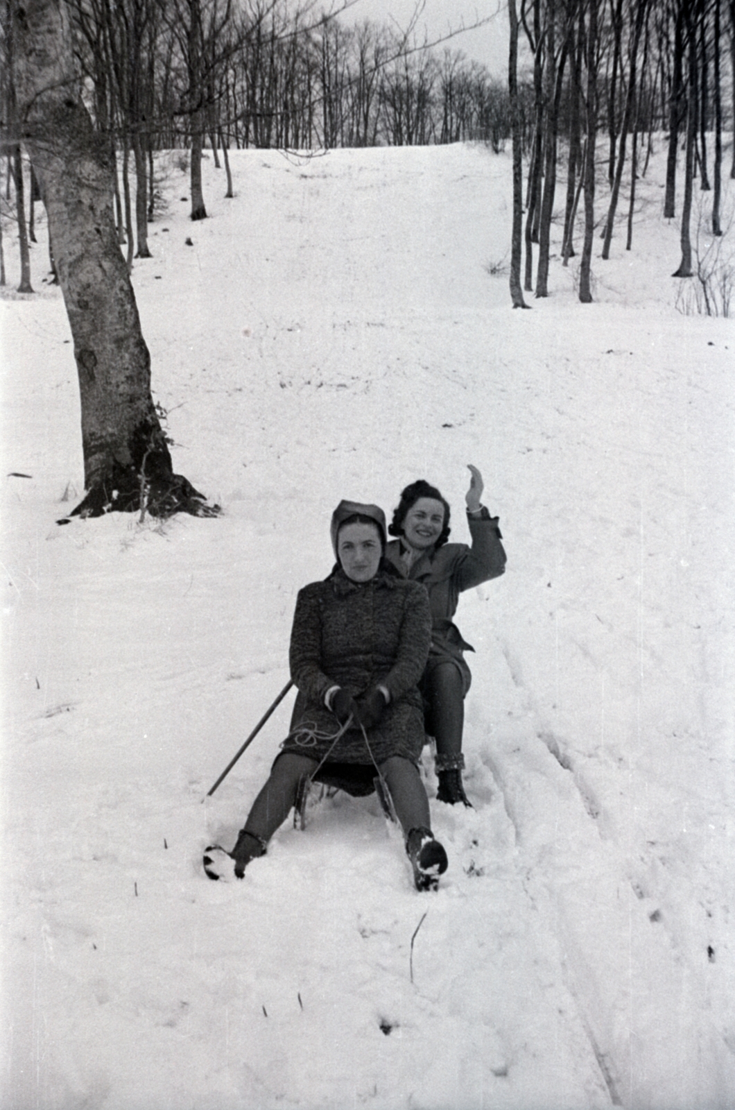 1941, Sattler Katalin, sledge, Fortepan #171049