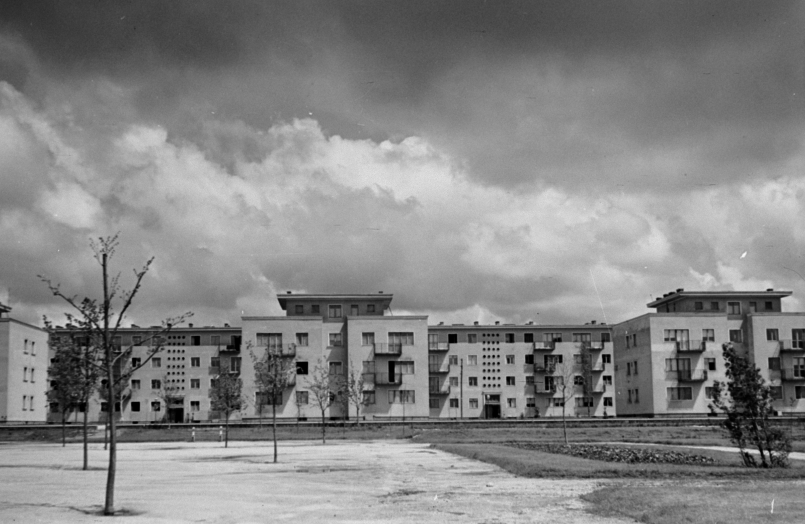 Hungary, Dunaújváros, (Sztálinváros), a Május 1. utca házai a Vasvári Pál Általános Iskola udvarából nézve., 1953, Sattler Katalin, sapling, blocks, Fortepan #171109
