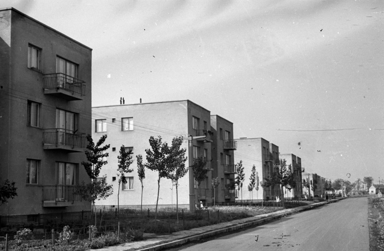 Hungary, Szolnok, a Tiszamenti Vegyiművek (TVM) lakótelepe., 1955, Sattler Katalin, sapling, blocks, Fortepan #171141