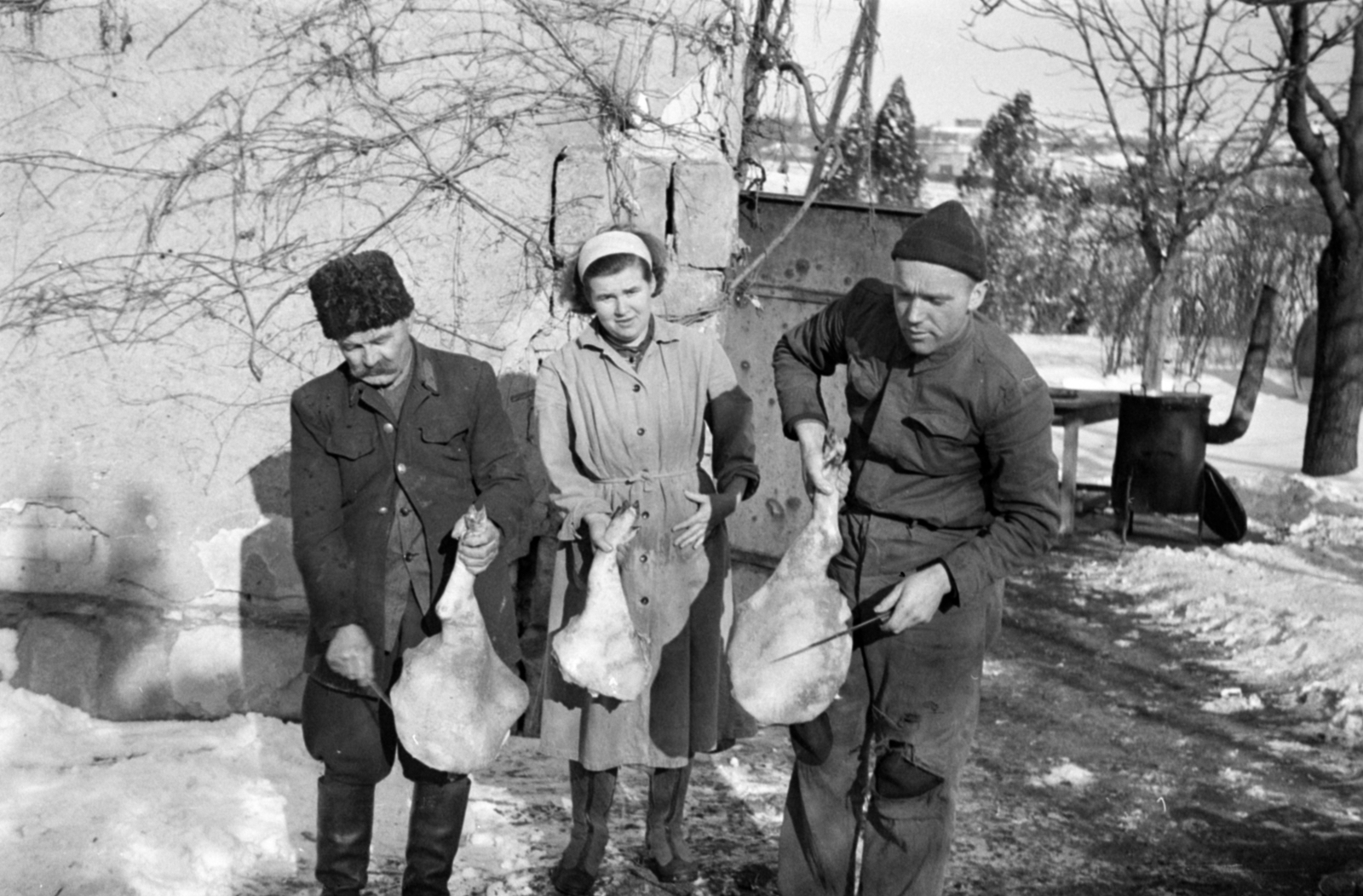 1955, Sattler Katalin, állatvágás, sonka, böllér, tél, Fortepan #171147