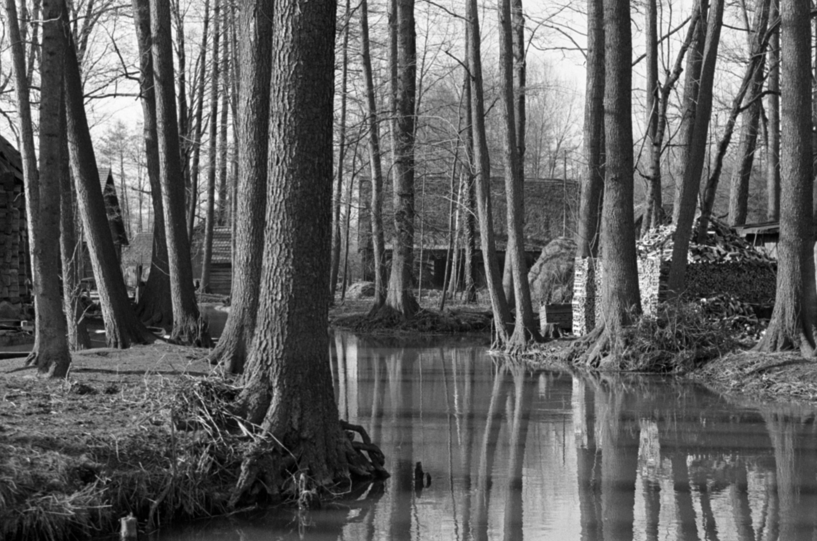 Germany, Lübbenau-Lehde, Spreewald., 1957, Sattler Katalin, GDR, shore, stream, woods, Fortepan #171227