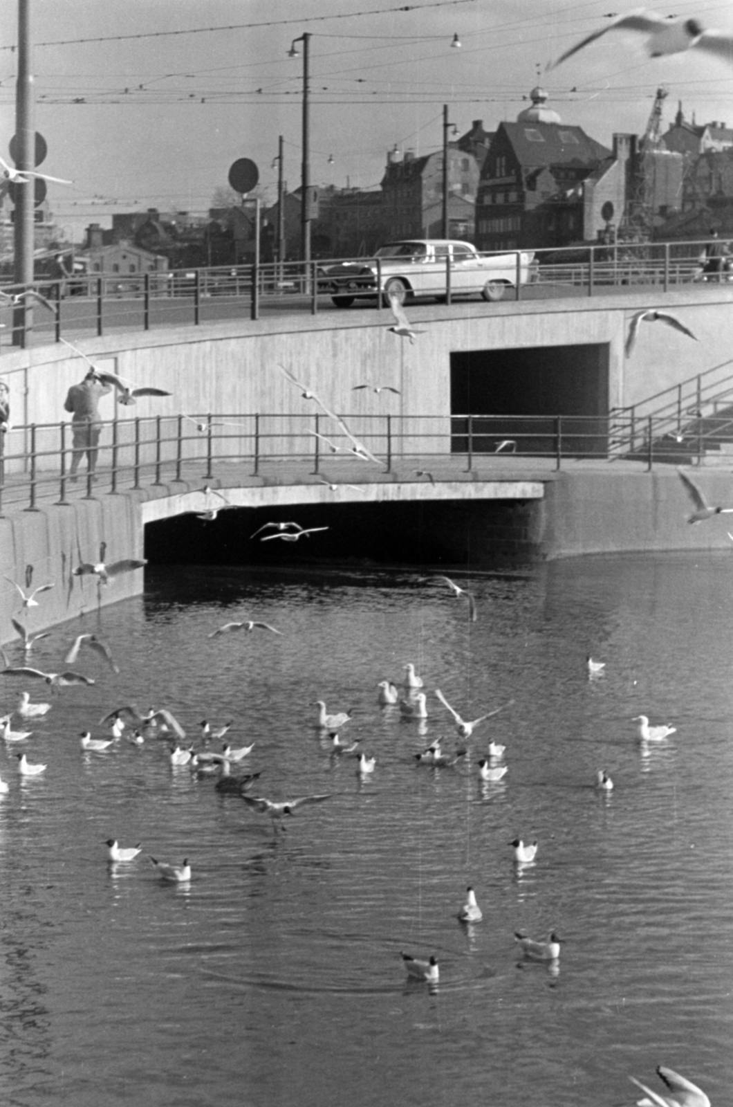 Sweden, Stockholm, a Zsilip (Slussen) a Stadsholmen és a Södermalm között. A Mälaren tavat választja el a Balti-tengertől., 1960, Sattler Katalin, bird, Fortepan #171417