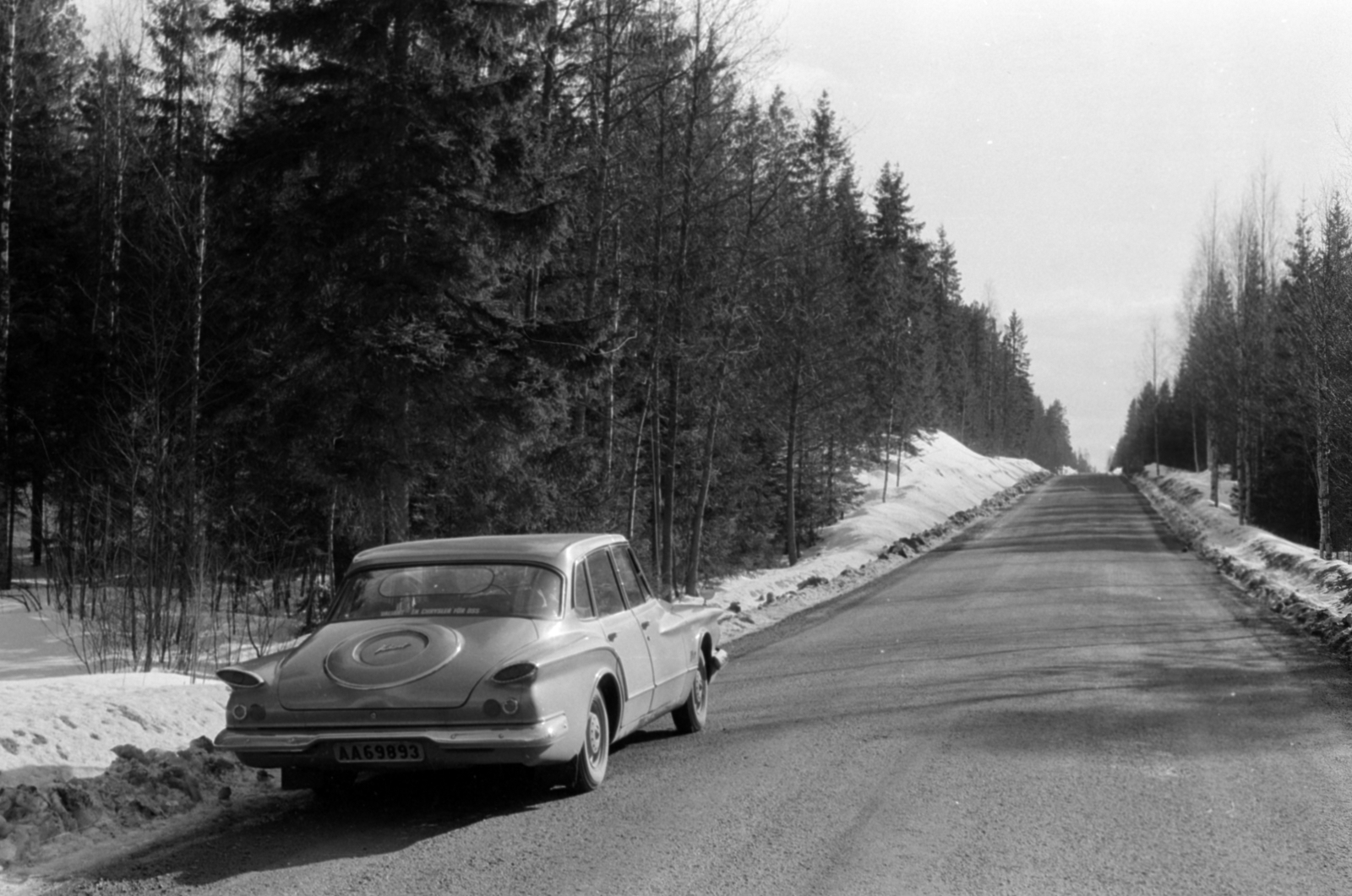 Sweden, 1960, Sattler Katalin, pine forest, slope, automobile, number plate, Fortepan #171436