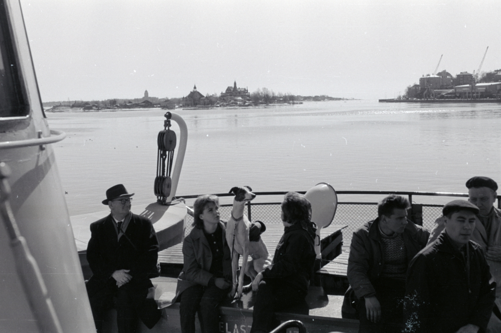 Finland, 1960, Sattler Katalin, dog, Fortepan #171446