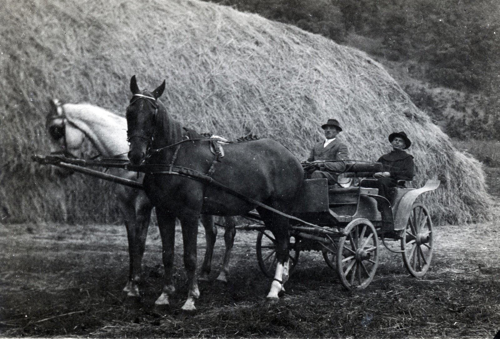 1930, Sütő János, széna, bricska, Fortepan #171586