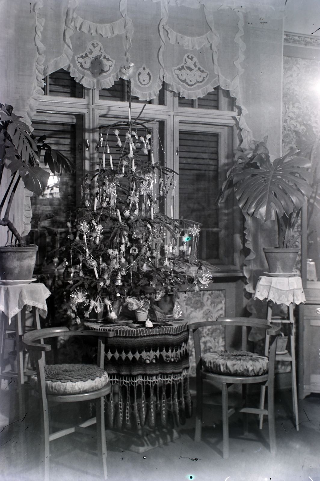 1933, Sütő János, christmas tree, Fortepan #171589