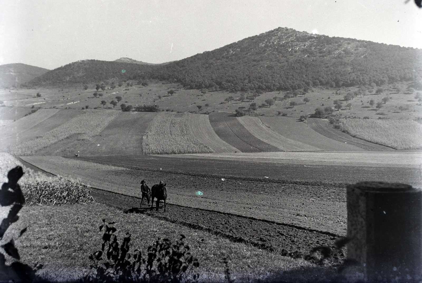 Hungary, Budapest II., szántóföld a mai Hármashatárhegyi repülőtéren, szemben az Újlaki-hegy. A kép jobb alsó sarkában egy régi budapesti határkő., 1922, Sütő János, Budapest, agriculture, horse, Fortepan #171593