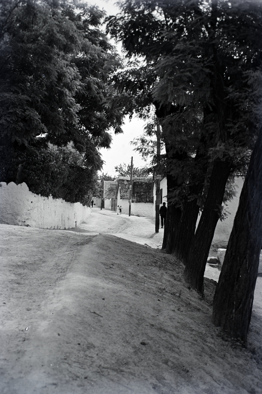 1922, Sütő János, alley, Fortepan #171594