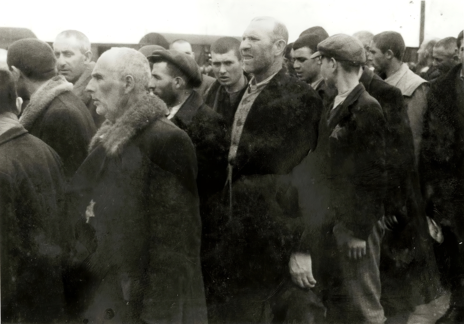 Lengyelország, Oświęcim, az auschwitz–birkenaui koncentrációs tábor., 1944, Lili Jacob, holokauszt, antiszemitizmus, koncentrációs tábor, deportálóvonat, Fortepan #172071