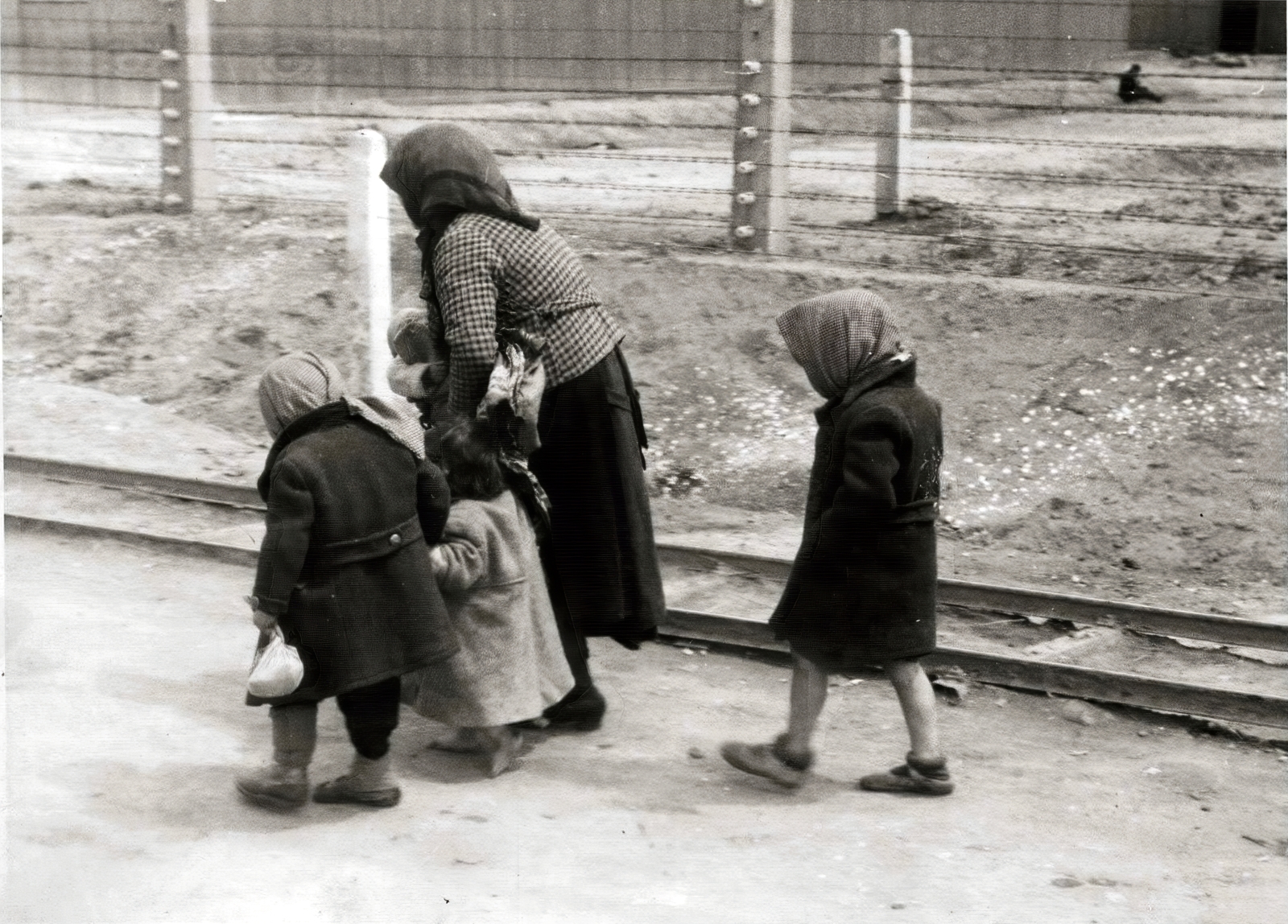 Poland, Oświęcim, az auschwitz–birkenaui koncentrációs tábor., 1944, Lili Jacob, holocaust, antisemitism, concentration camp, Fortepan #172106