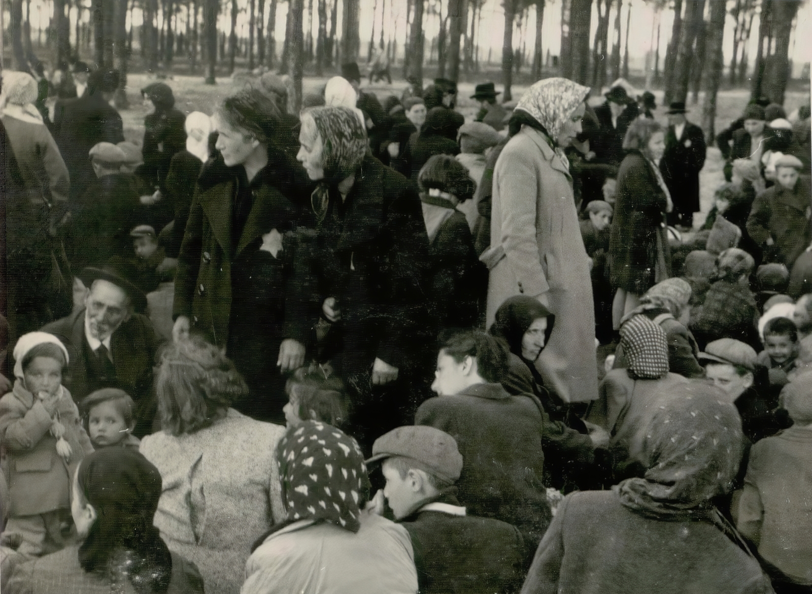 Poland, Oświęcim, az auschwitz–birkenaui koncentrációs tábor., 1944, Lili Jacob, holocaust, antisemitism, concentration camp, Fortepan #172116