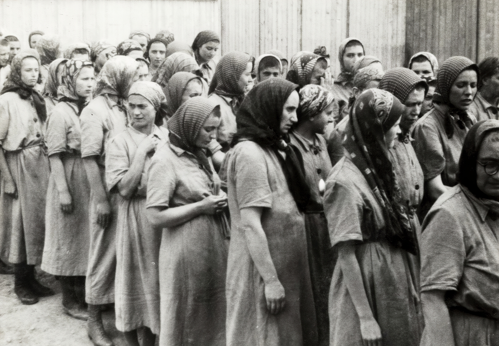 Poland, Oświęcim, az auschwitz–birkenaui koncentrációs tábor., 1944, Lili Jacob, holocaust, antisemitism, concentration camp, Fortepan #172137