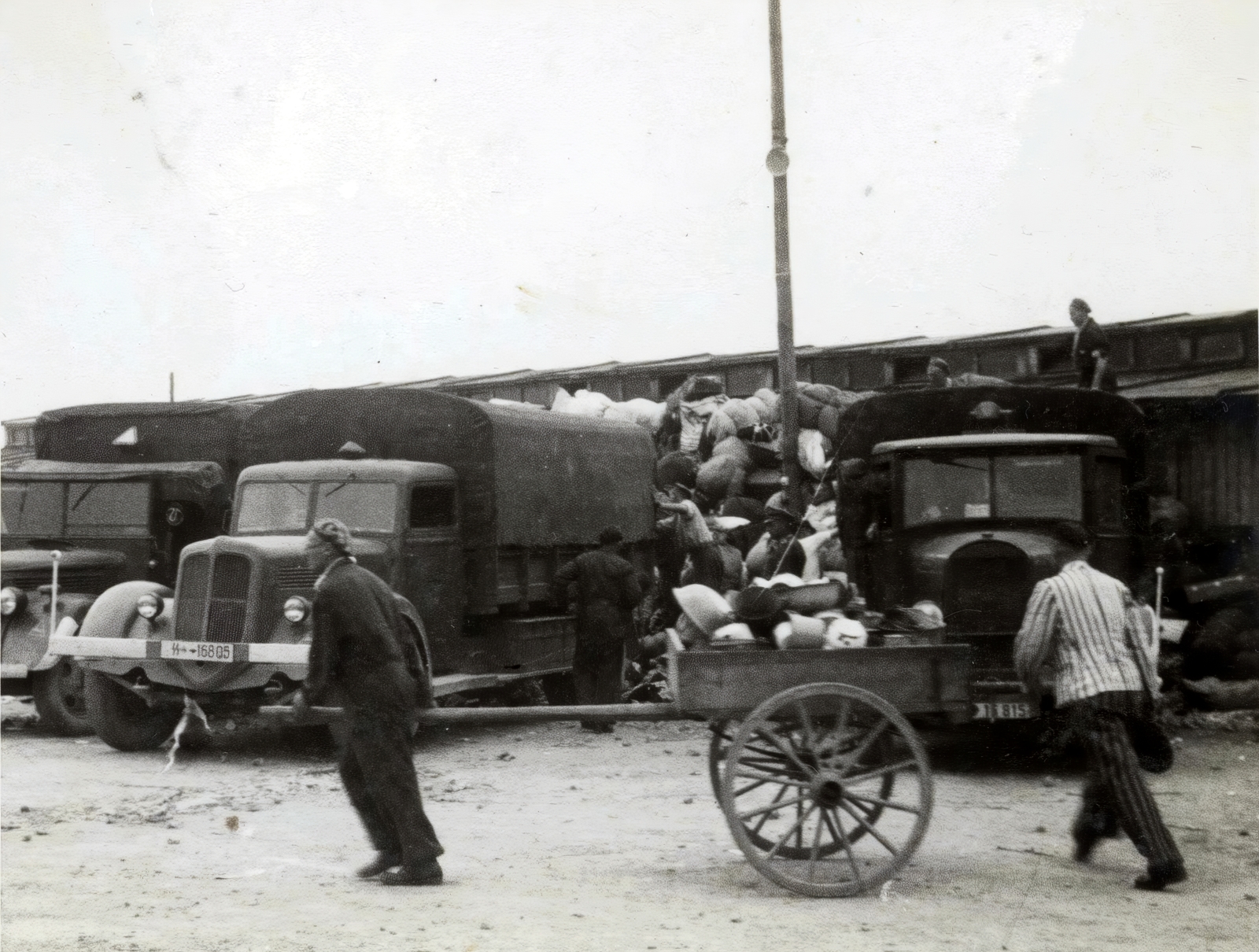 Poland, Oświęcim, az auschwitz–birkenaui koncentrációs tábor., 1944, Lili Jacob, holocaust, antisemitism, concentration camp, Fortepan #172154