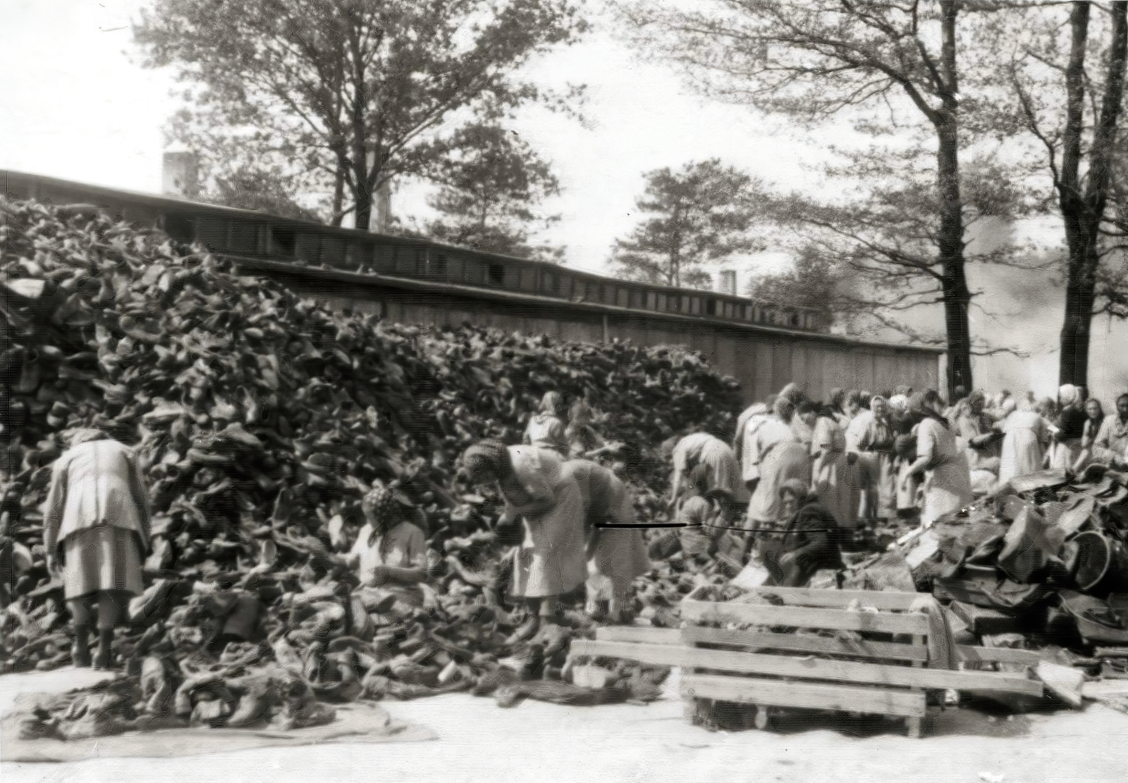 Lengyelország, Oświęcim, az auschwitz–birkenaui koncentrációs tábor., 1944, Lili Jacob, holokauszt, antiszemitizmus, koncentrációs tábor, Fortepan #172163