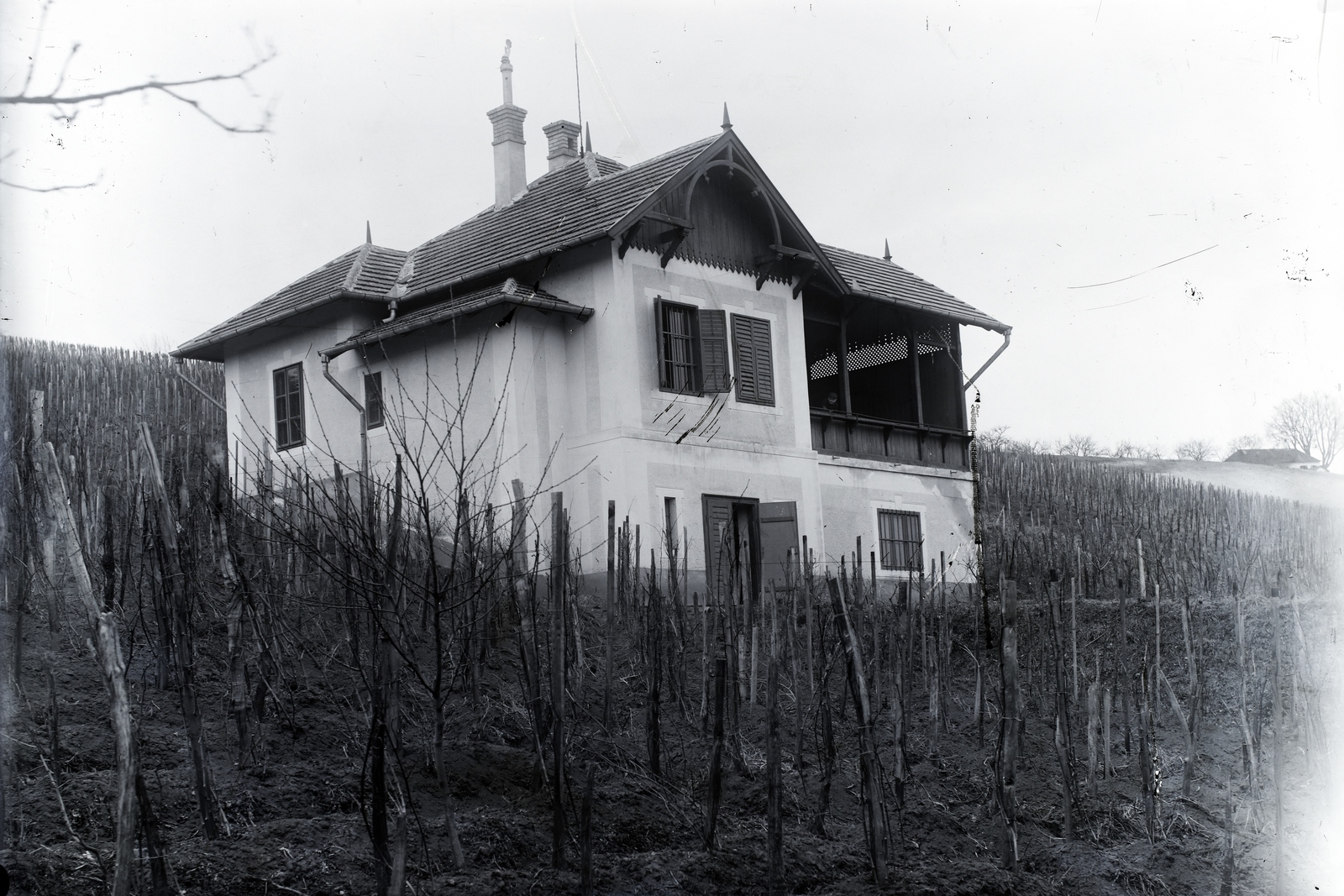 Hungary, Zalaegerszeg, Egerszeghegy, Morandini Tamás építész pinceháza., 1908, Göcseji Múzeum / Morandini-Schlemmer hagyaték, grape, press house, Fortepan #172184