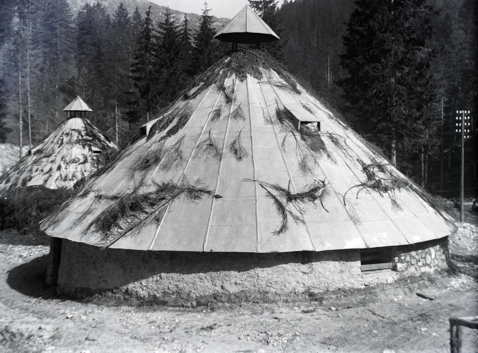 Olaszország, pineta-nak nevezett építmény, menedékhely az olasz fronton., 1917, Göcseji Múzeum / Morandini-Schlemmer hagyaték, álcázás, Fortepan #172222