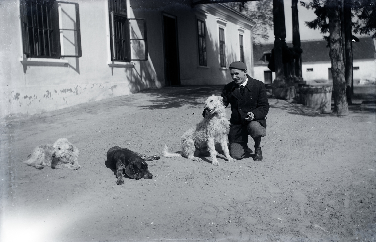 1923, Göcseji Múzeum / Morandini-Schlemmer hagyaték, dog, Fortepan #172440