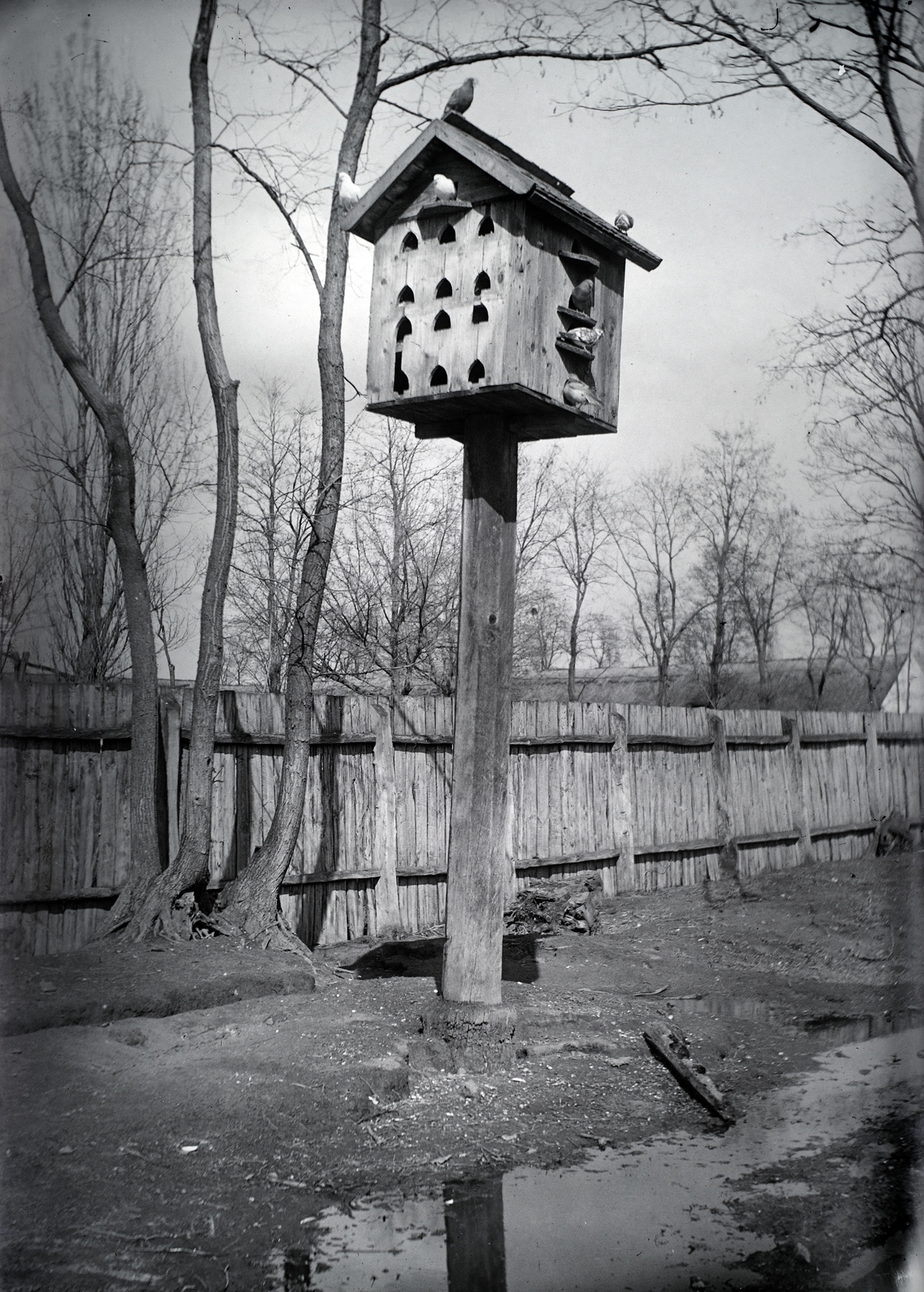 1923, Göcseji Múzeum / Morandini-Schlemmer hagyaték, dovecote, Fortepan #172441